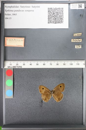 Media type: image;   Entomology 104111
